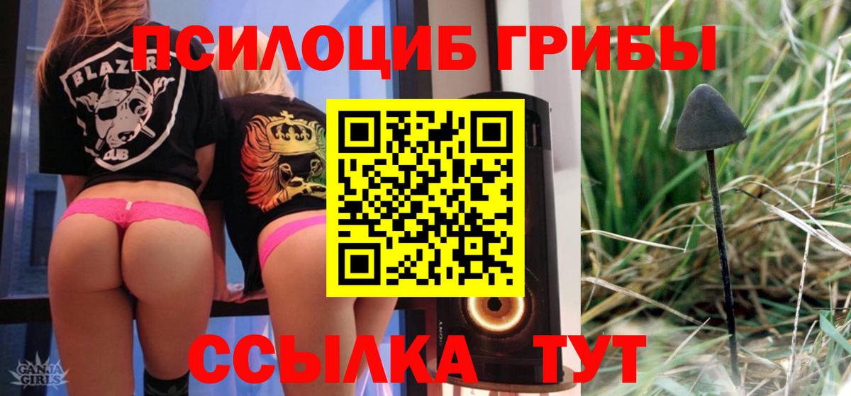 Щёлково  Галлюциногенные грибы ЛСД  Вход с VPN 